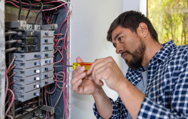 Best Surge Protection Installation  in Donna, TX